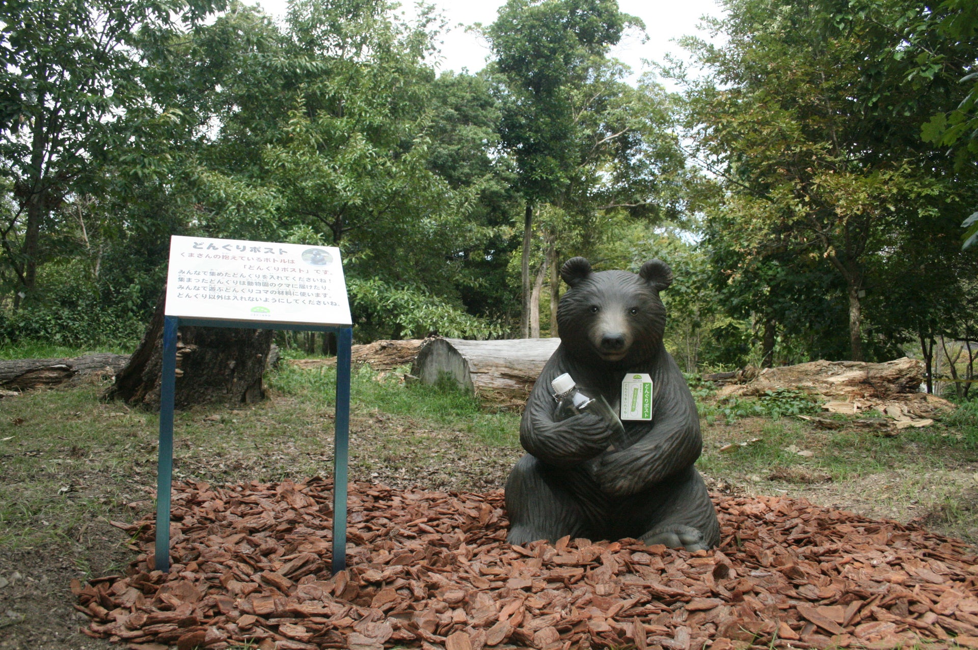 京都府立植物園 どんぐりの森「Dongreen Lab（どんぐりーんらぼ）」